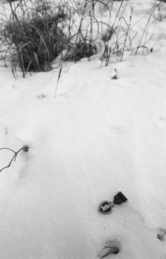 Photo by Hal Barker. Purple Heart of Sergeant First Class Seymour 