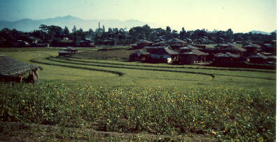 Untouched farmland - Korea 1950